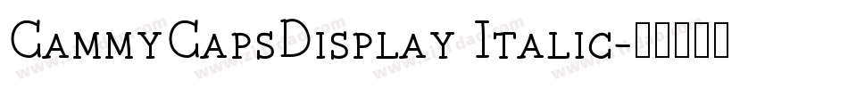 CammyCapsDisplay Italic字体转换